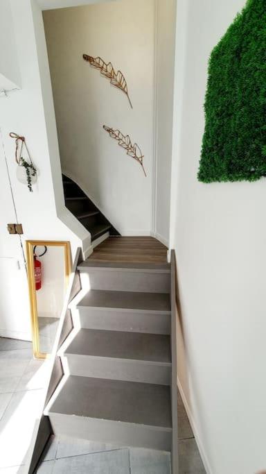Apartment Prestige Jungle Chic Plaine Images Roubaix