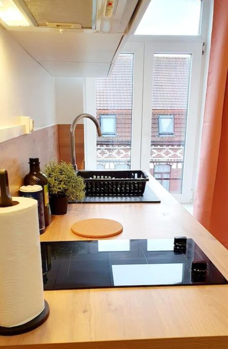 Prestige Jungle Chic Plaine Images Apartment Roubaix